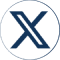 x icon